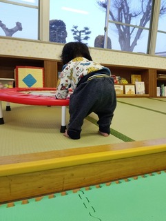 IMG_20250326_175348.jpg