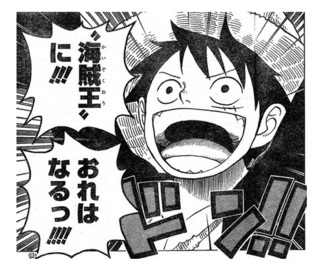 kaizokuoh.jpg